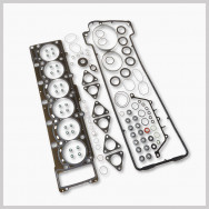 Engine Gaskets & Seals