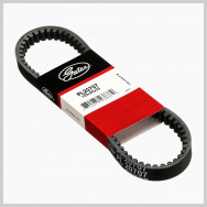 Timing Belts & Chains