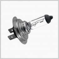 Vehicle Bulbs