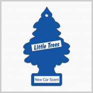 Interior Accessories