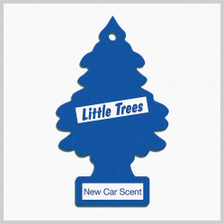 Interior Accessories