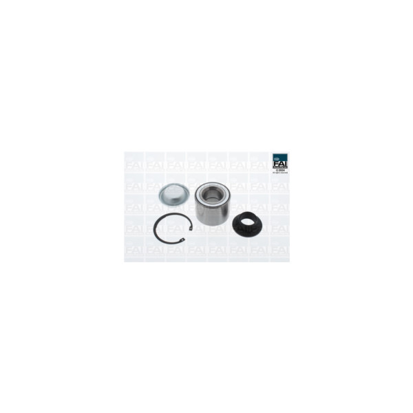 FAI Pro FAI PRO WHEEL BEARING KIT (Rear) image