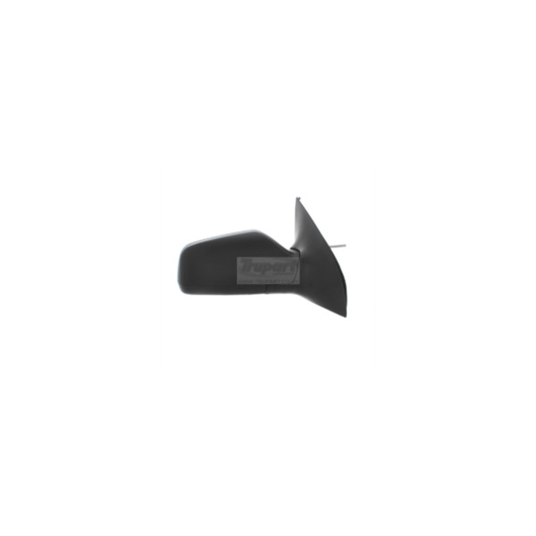 Trupart DOOR MIRROR (Right Hand) image