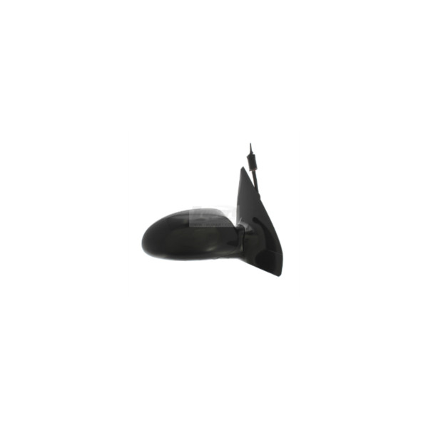 Trupart DOOR MIRROR (Right Hand) image