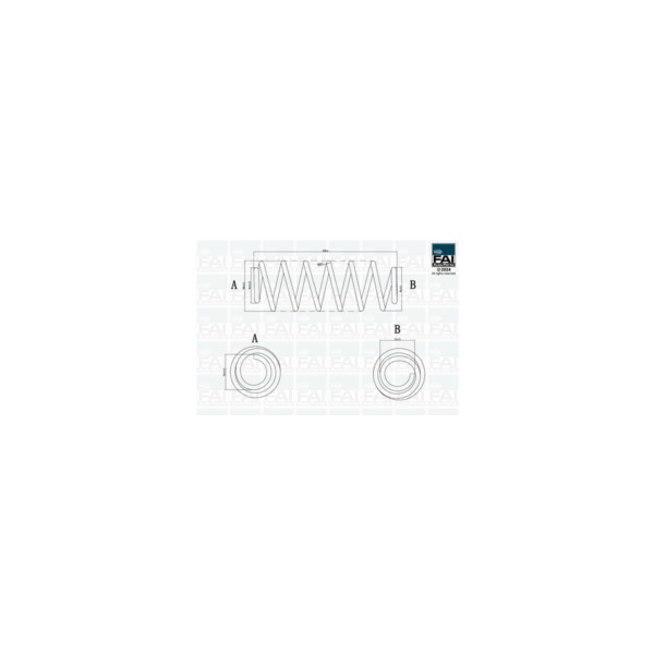 FAI Pro FAI PRO COIL SPRING (Rear) image