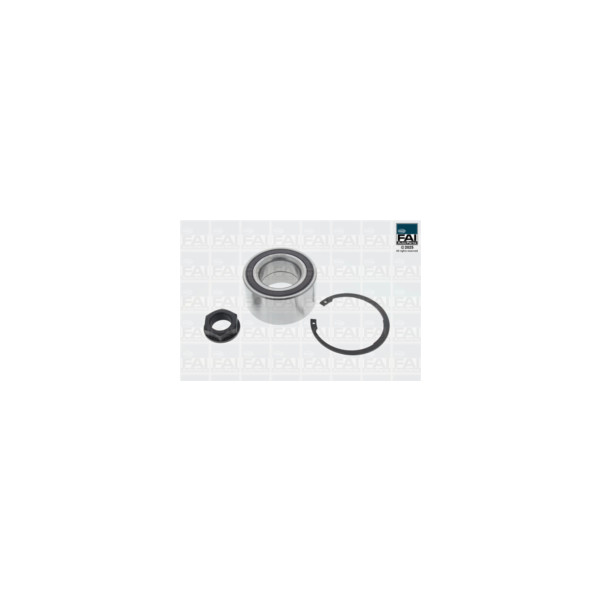 FAI Pro FAI PRO WHEEL BEARING KIT (Front) image