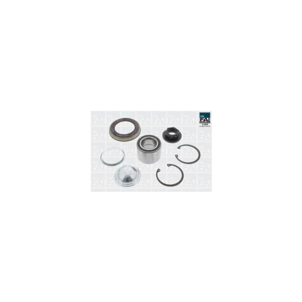 FAI Pro FAI PRO WHEEL BEARING KIT (Rear) image