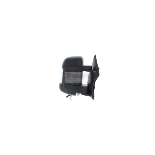 Trupart DOOR MIRROR (Right Hand) image