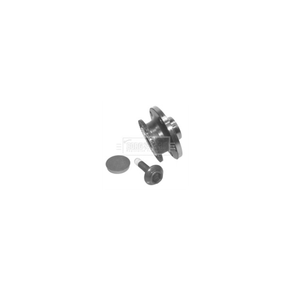 Borg & Beck WHEEL BEARING KIT (Rear) image