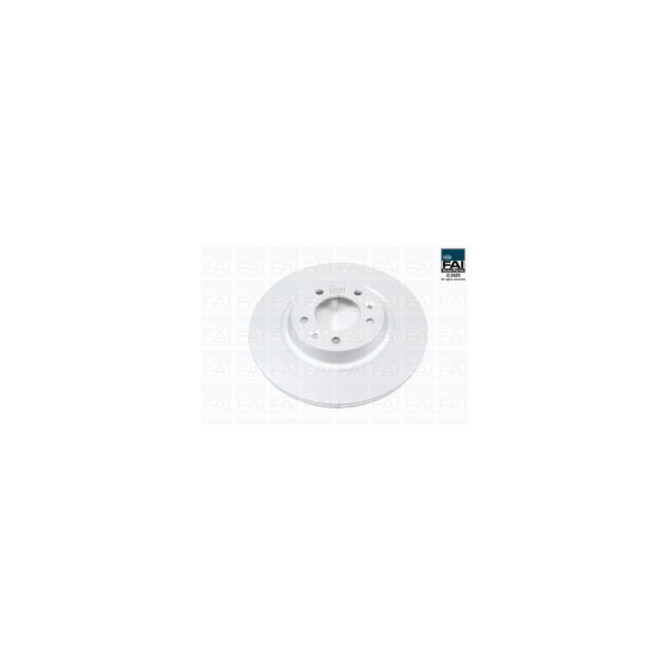 FAI Pro 4444 BRAKE DISC PAIR REAR (Rear) image