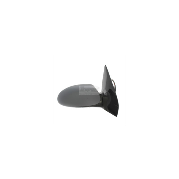 Trupart DOOR MIRROR (Right Hand) image