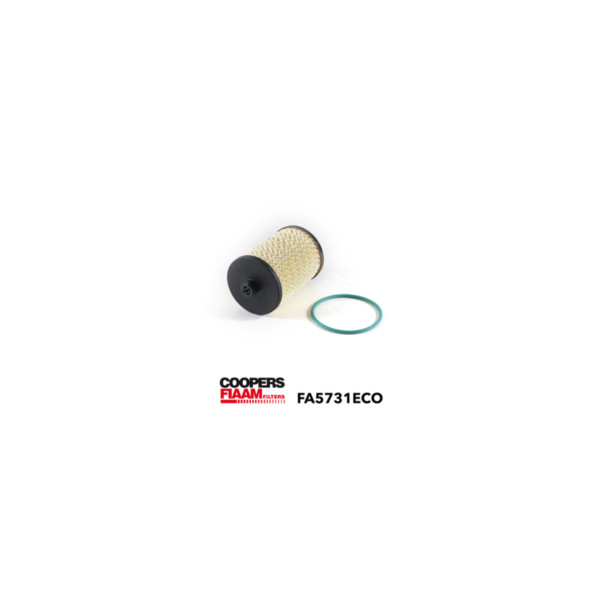 CoopersFiaam FUEL FILTER image