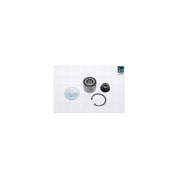 FAI Pro FAI PRO WHEEL BEARING KIT (Rear) image