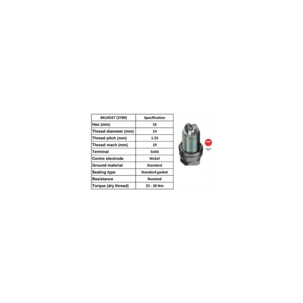 NGK 2789 NGK SPARK PLUG image