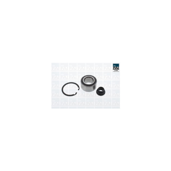 FAI Pro FAI PRO WHEEL BEARING KIT (Front) image