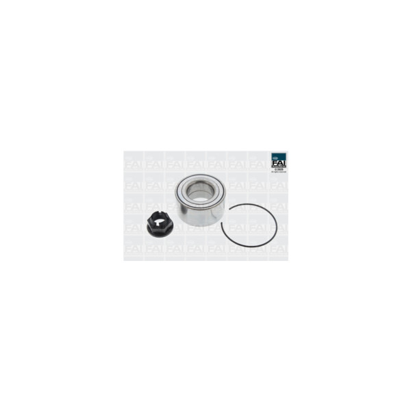 FAI Pro FAI PRO WHEEL BEARING KIT (Front) image