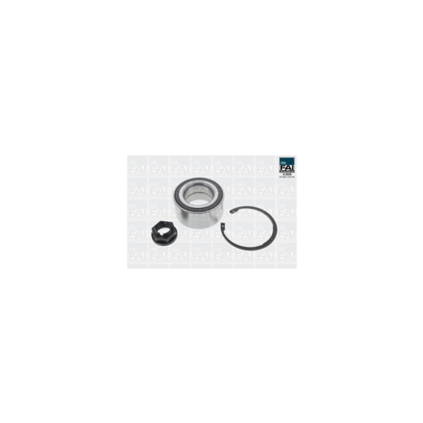 FAI Pro FAI PRO WHEEL BEARING KIT (Rear) image
