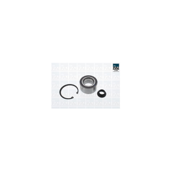 FAI Pro FAI PRO WHEEL BEARING KIT (Rear) image