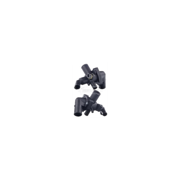 Borg & Beck THERMOSTAT KIT image