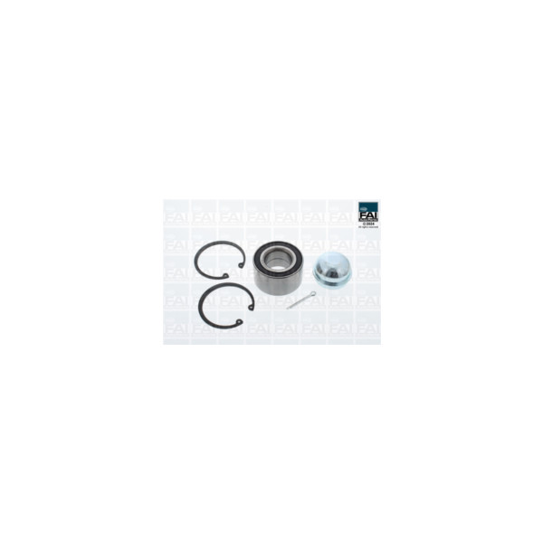 FAI Pro FAI PRO WHEEL BEARING KIT (Front) image