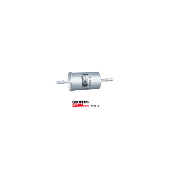 CoopersFiaam FUEL FILTER image