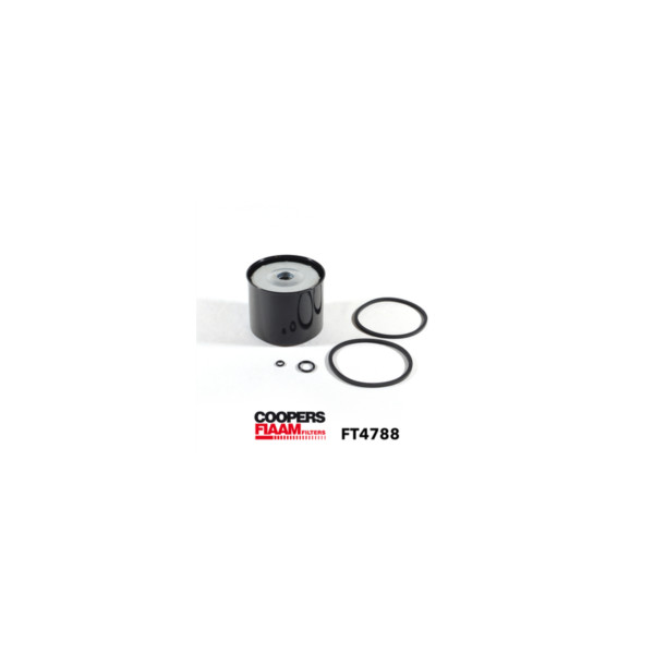 CoopersFiaam FUEL FILTER image