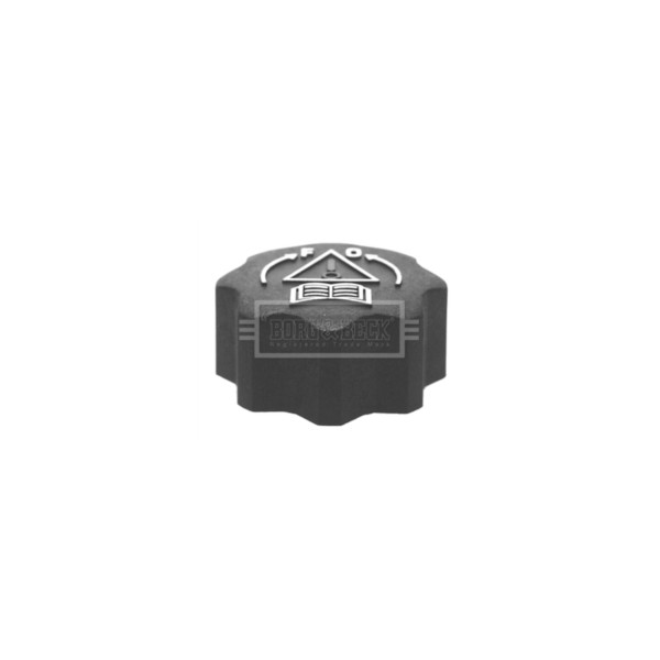Radiator Cap image